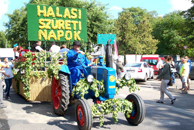Halasi Szüreti Napok 2015. szeptember 12.